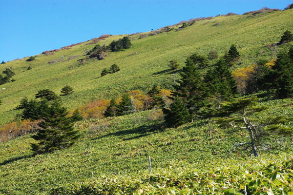 d0341514_20210070.jpg