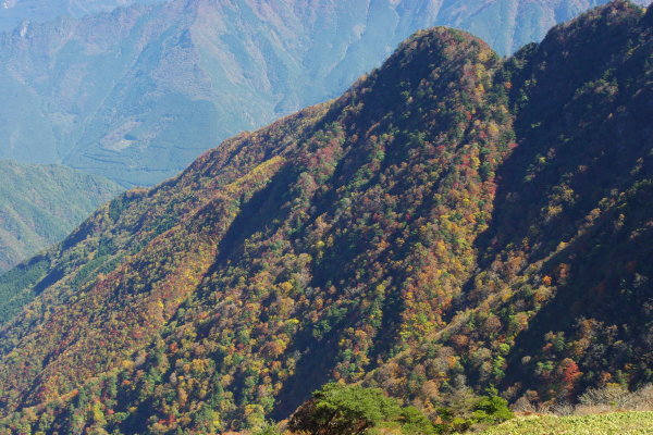 d0341514_20250997.jpg