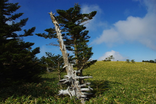 d0341514_20291211.jpg