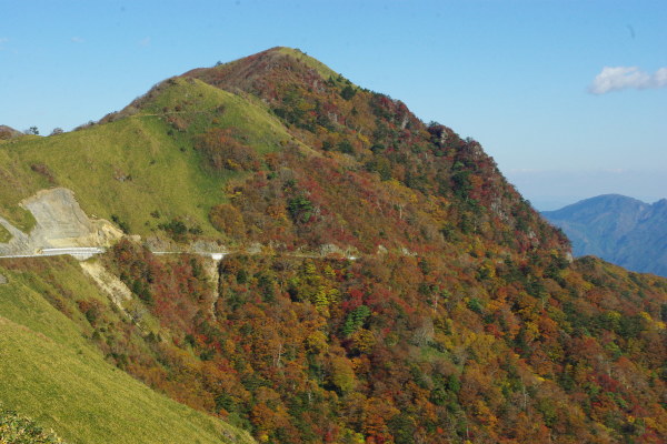 d0341514_20294412.jpg