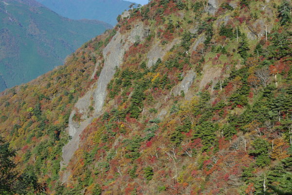 d0341514_21125049.jpg