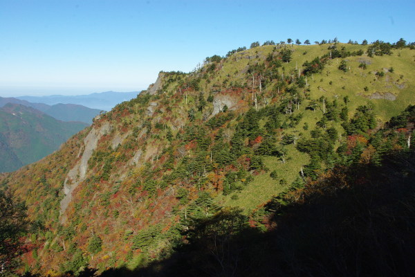 d0341514_21172849.jpg