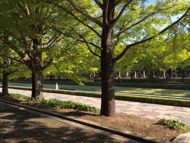f0320815_23243172.jpg