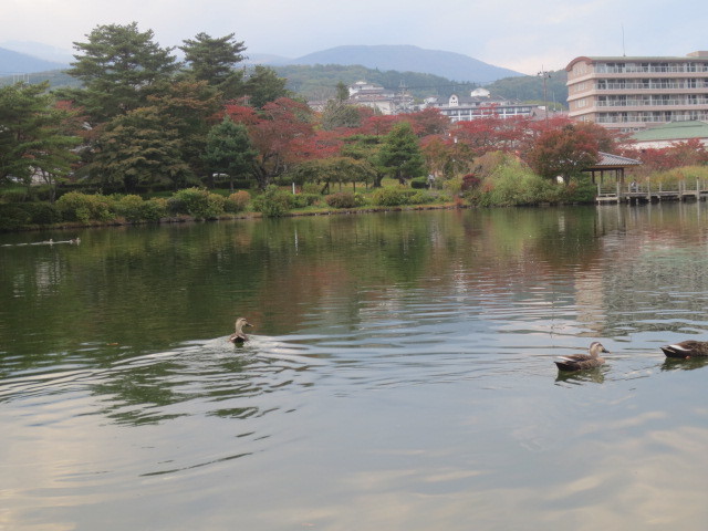 鏡が池・・岳温泉付近の紅葉_f0248616_09042910.jpg