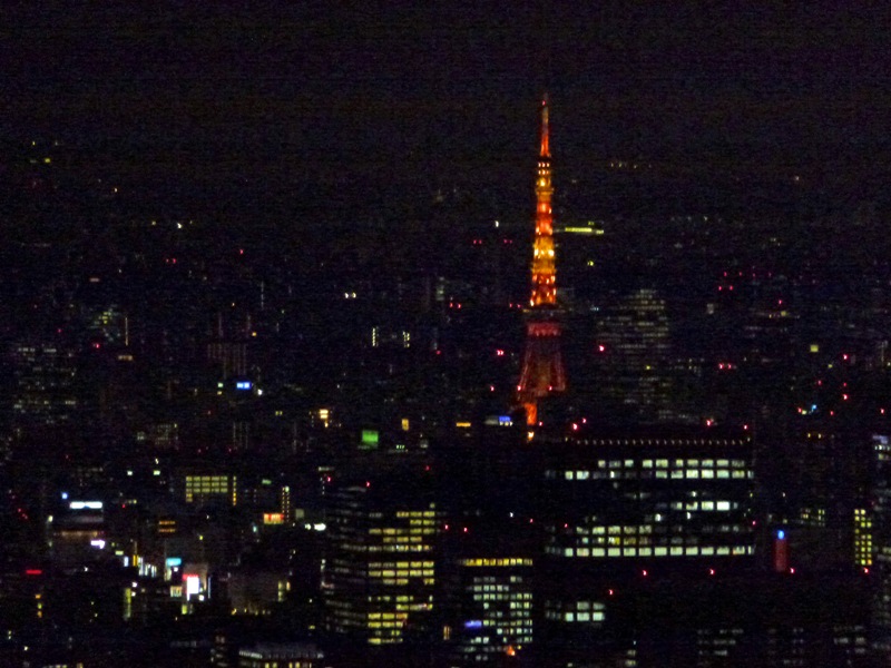 c0042418_874176.jpg