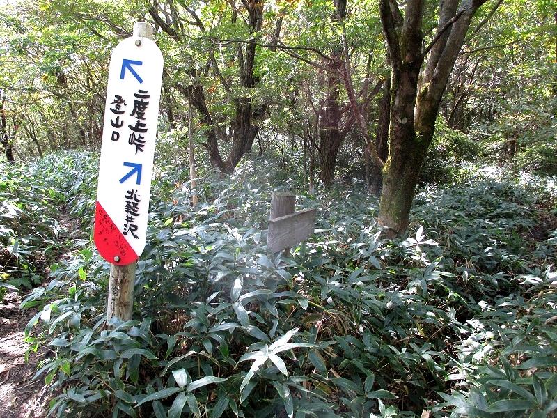高崎市　二度上峠から登る秋の浅間隠山　　　　　Mount Asamakakushi in Takasaki, Gunma_f0308721_22582334.jpg
