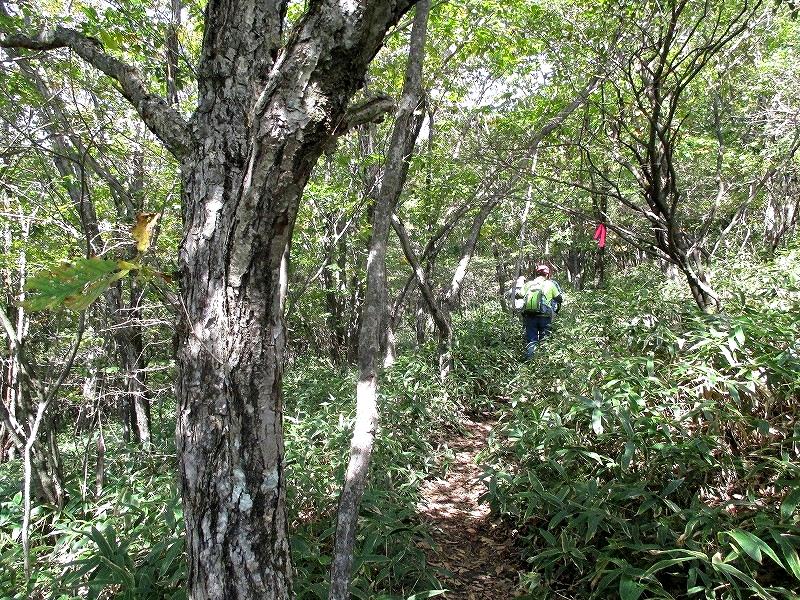 高崎市　二度上峠から登る秋の浅間隠山　　　　　Mount Asamakakushi in Takasaki, Gunma_f0308721_2301548.jpg