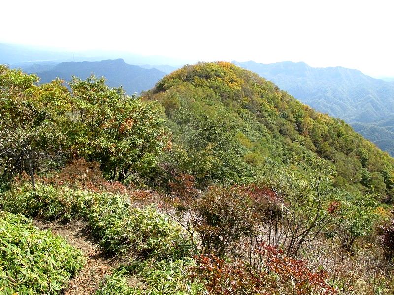 高崎市　二度上峠から登る秋の浅間隠山　　　　　Mount Asamakakushi in Takasaki, Gunma_f0308721_2343670.jpg