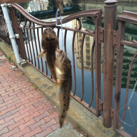 e0346623_08015629.jpeg