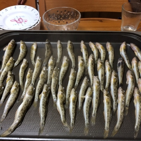 e0346623_08291138.jpeg