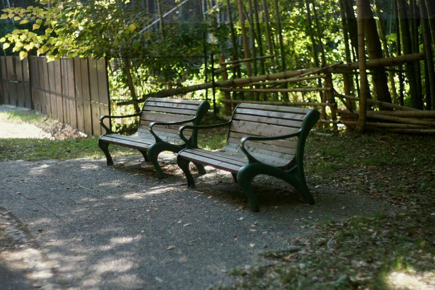 b0069128_1120346.jpg