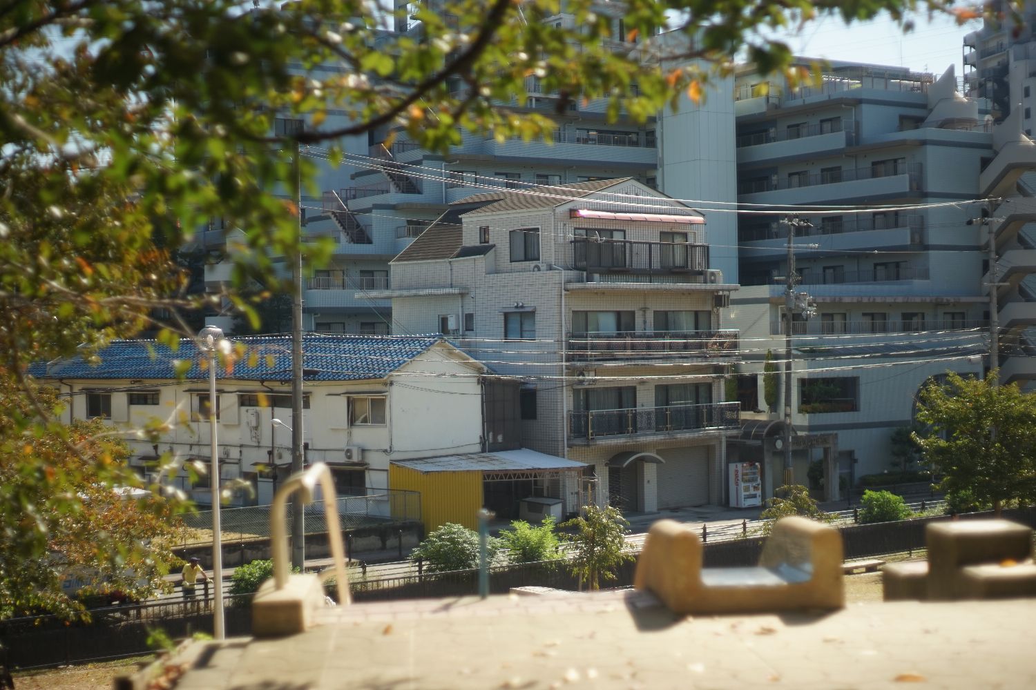 b0069128_11232894.jpg