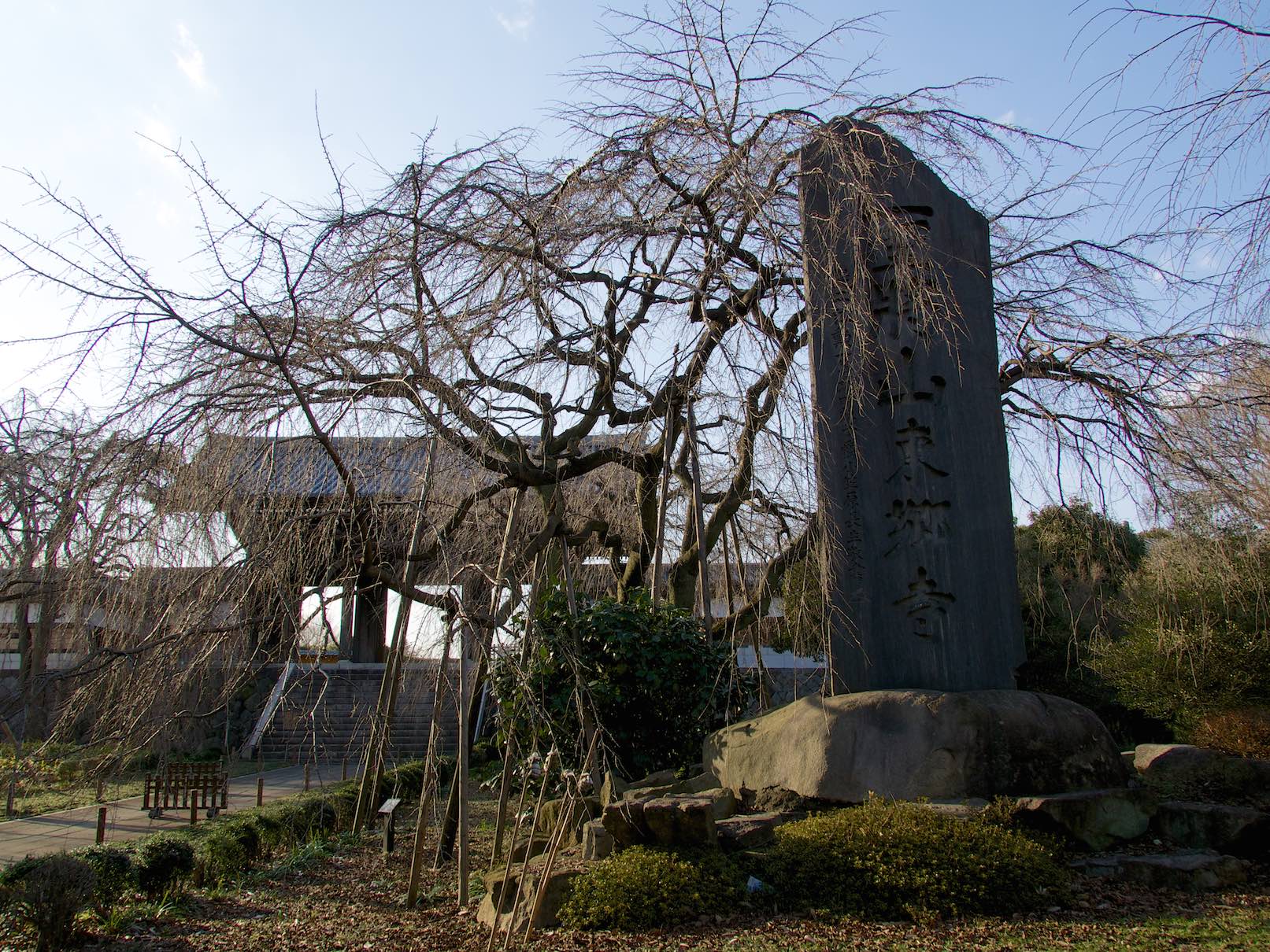 多磨霊園駅周辺5　東郷寺_e0216133_20265827.jpg