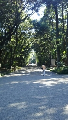 宮崎エースレーンさんでチャレンジ☆_b0259538_01275243.jpg