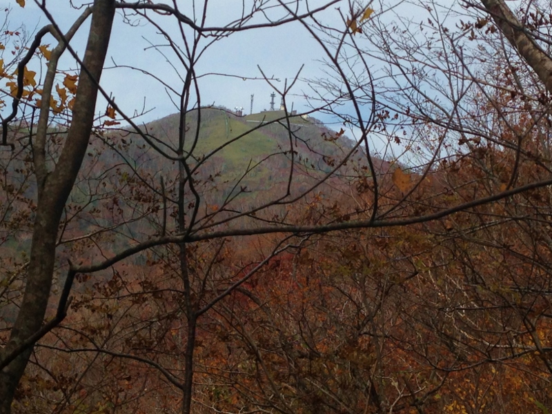 紋別岳~\'15/10/18_e0326953_202768.jpg