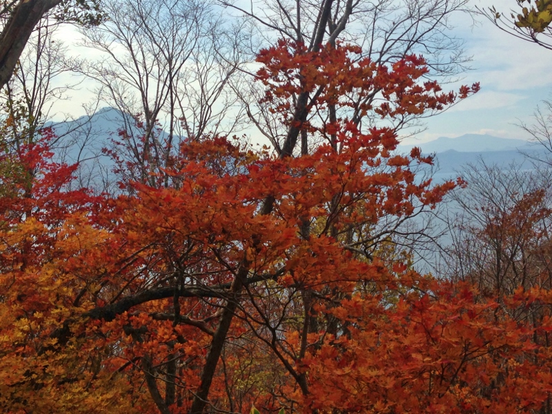 紋別岳~\'15/10/18_e0326953_204042.jpg