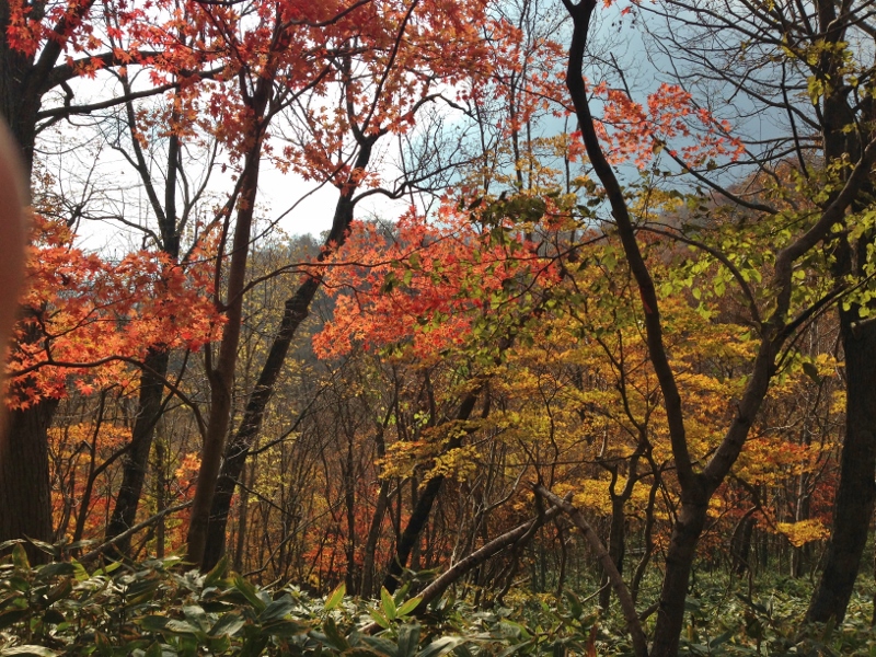 紋別岳~\'15/10/18_e0326953_23513.jpg