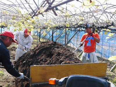 熊本ぶどう 社方園 適地適作とお礼肥え(元肥) 鹿本農業高校から実習生が来ました!!その1_a0254656_17444395.jpg