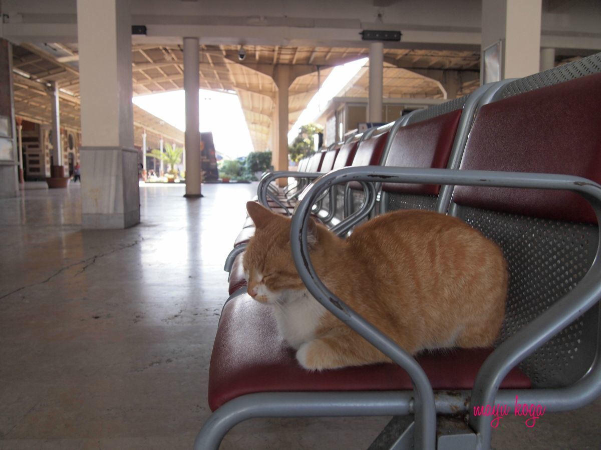 シルケジ駅にはミニ鉄道博物館があります_e0255060_00480211.jpg