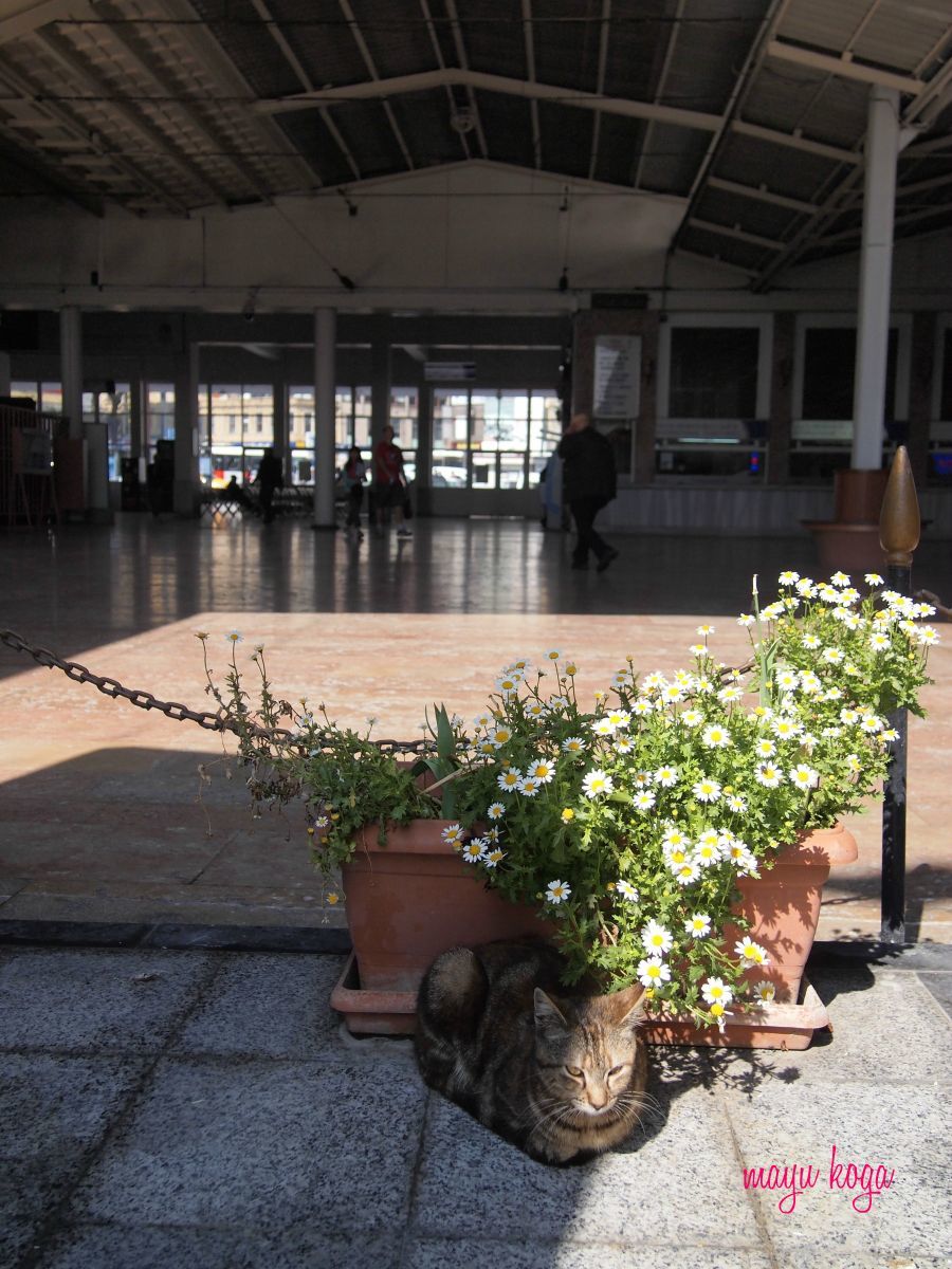 シルケジ駅にはミニ鉄道博物館があります_e0255060_01001852.jpg