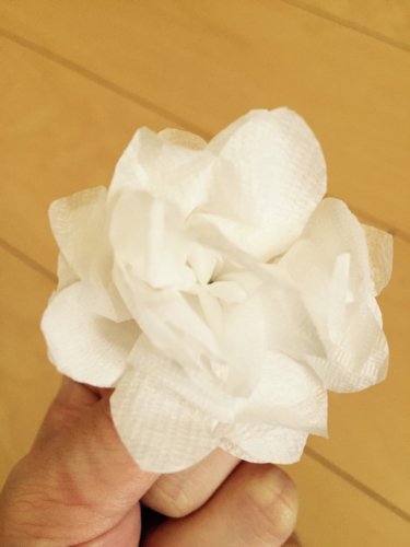ぺパナプリース_b0328361_20150696.jpg