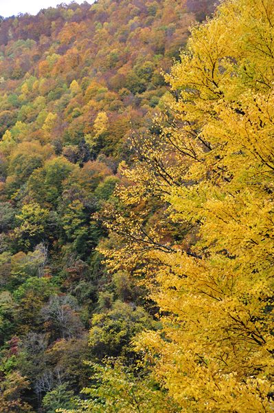 2015年１０月西会津柳津西山温泉～南会津木賊温泉_f0164061_2225442.jpg