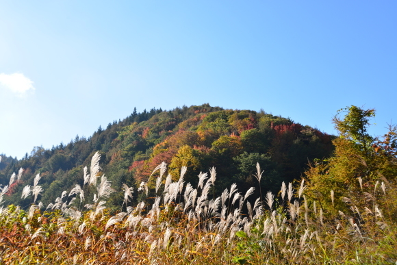 西川林道_a0307264_23010124.jpg