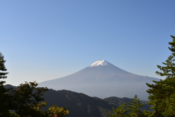 西川林道_a0307264_23022290.jpg