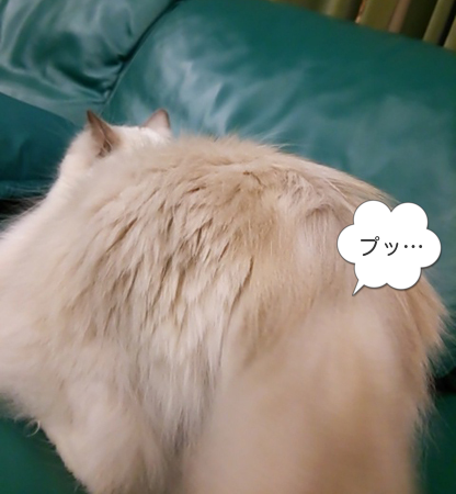 f0000673_22175617.png