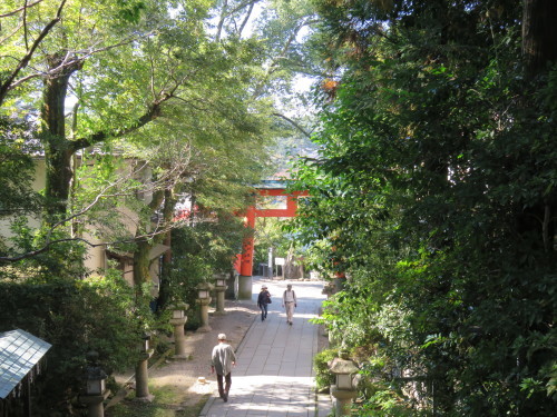 f0259373_10333980.jpg
