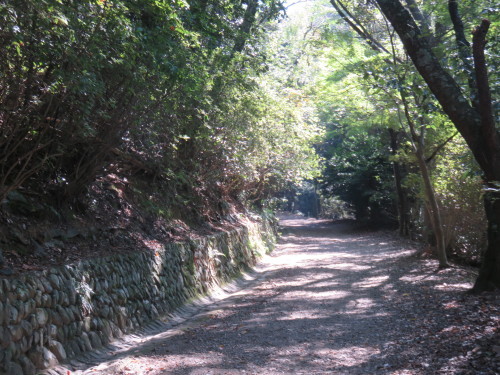 f0259373_10434857.jpg