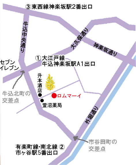 赤星&新野 人形、ミニチュア、イラスト展案内状できました_b0019674_15235726.jpg