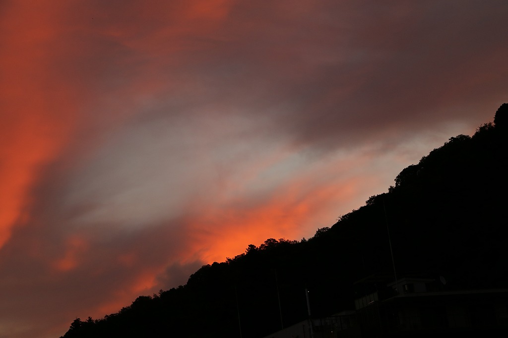a0105680_08219.jpg