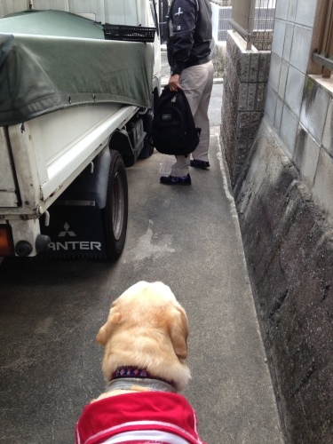 f0315081_17294911.jpeg