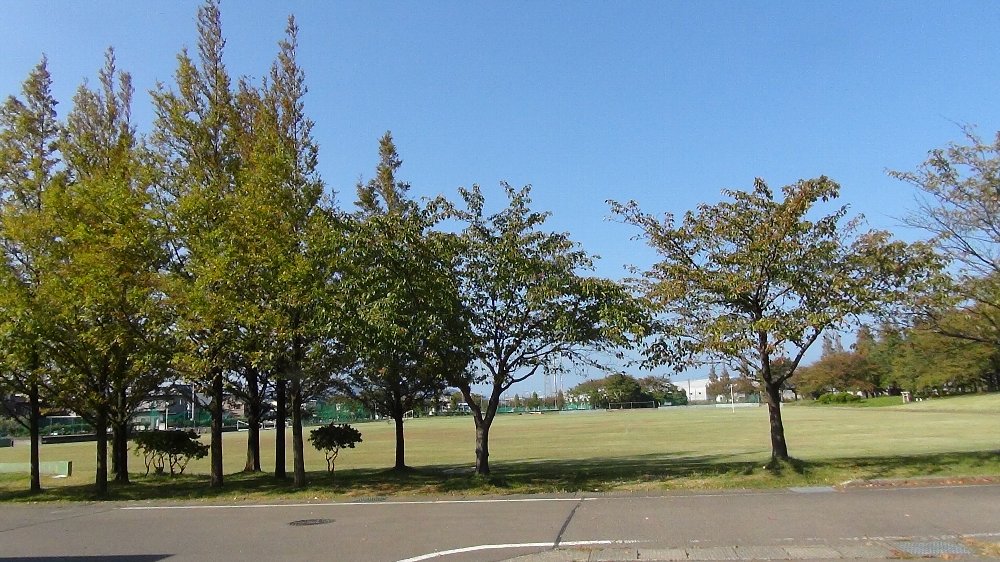 直江津カルチャーセンター(パノラマ)_e0065084_14353878.jpg