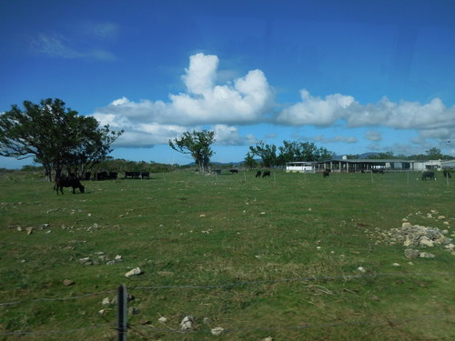 d0077699_20264121.jpg
