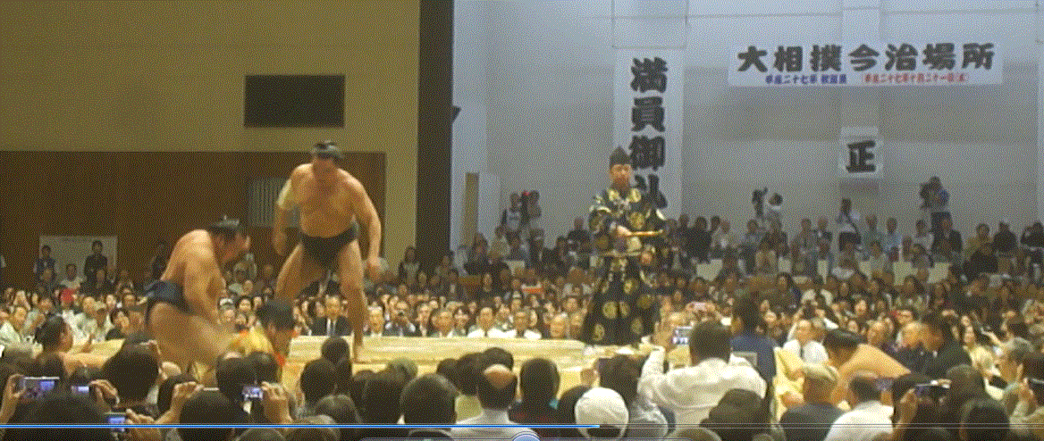 f0231709_21144233.gif