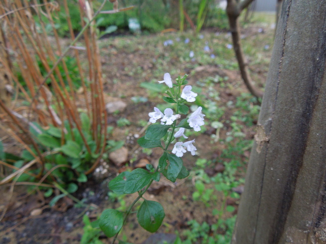 f0297809_21104854.jpg
