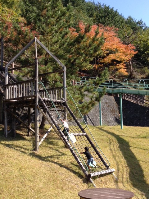f0170011_1949888.jpg
