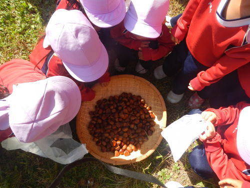 c0194522_2012030.jpg