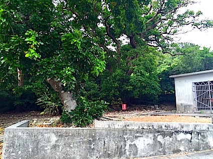 沖縄の天女伝説 ⑳ 大国家と三保の浜_a0300530_16021727.jpg