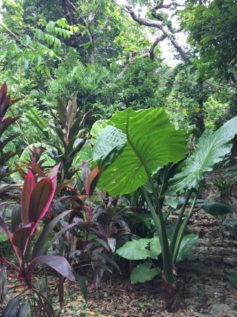 c0327733_16362768.jpeg