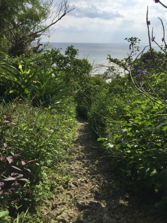 c0327733_16365615.jpeg