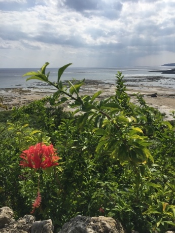 c0327733_16372780.jpeg