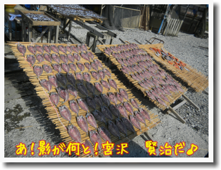 c0259934_17040145.png