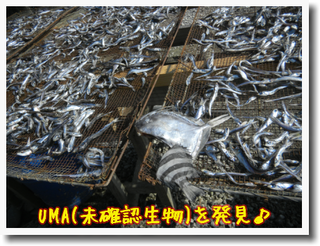 c0259934_17043359.png