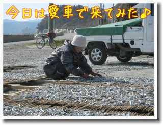 c0259934_17054426.png