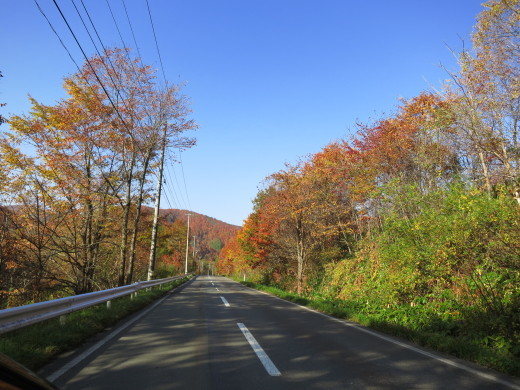 紅葉の街道から。_b0206037_19485891.jpg