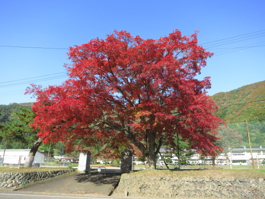 紅葉の街道から。_b0206037_19502329.jpg