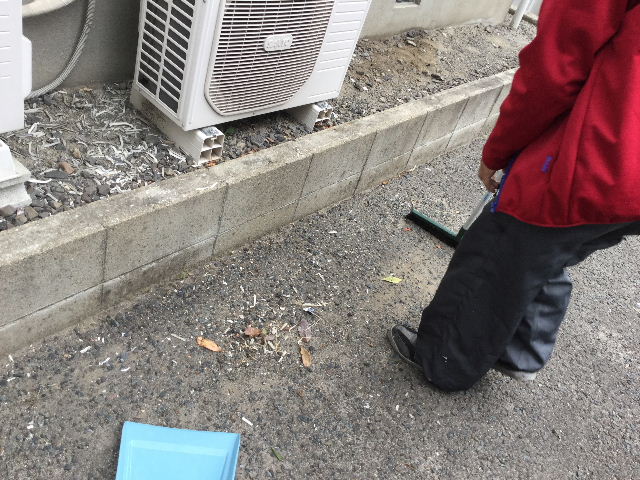 賃貸定期管理清掃_f0031037_18314488.jpg